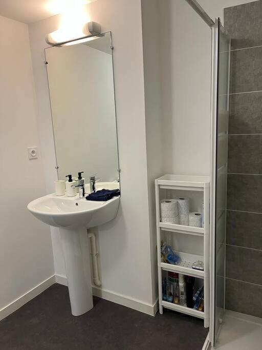 Appartement F2 De Haut Standing En Hypercentre Avec Jardin Prive A 270 M De La Gare De Mantes ! Zewnętrze zdjęcie